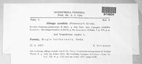 Image Associated With the Occurence